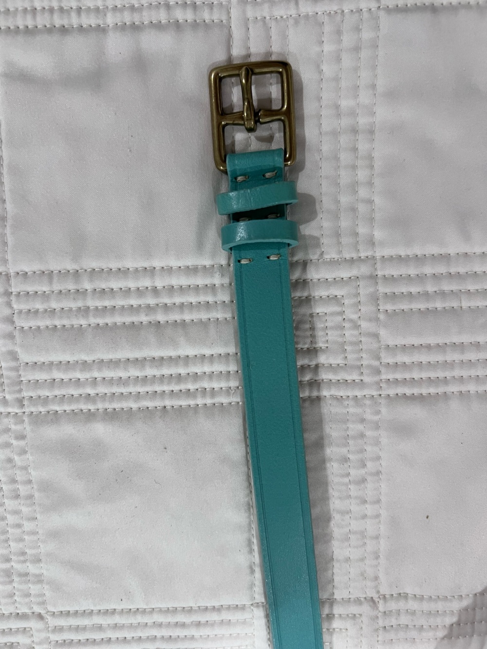 J. Crew Teal Leather Women’s Belt with Brass Buckle